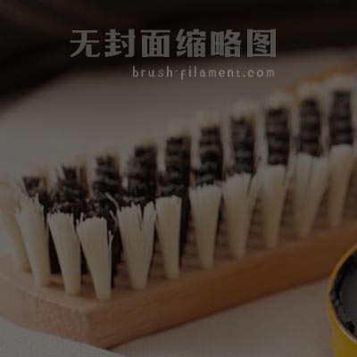 Happy Childrens' Holiday--Boiled Bristle and Brush Filanment