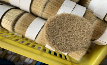 Pig bristles Pig bristles