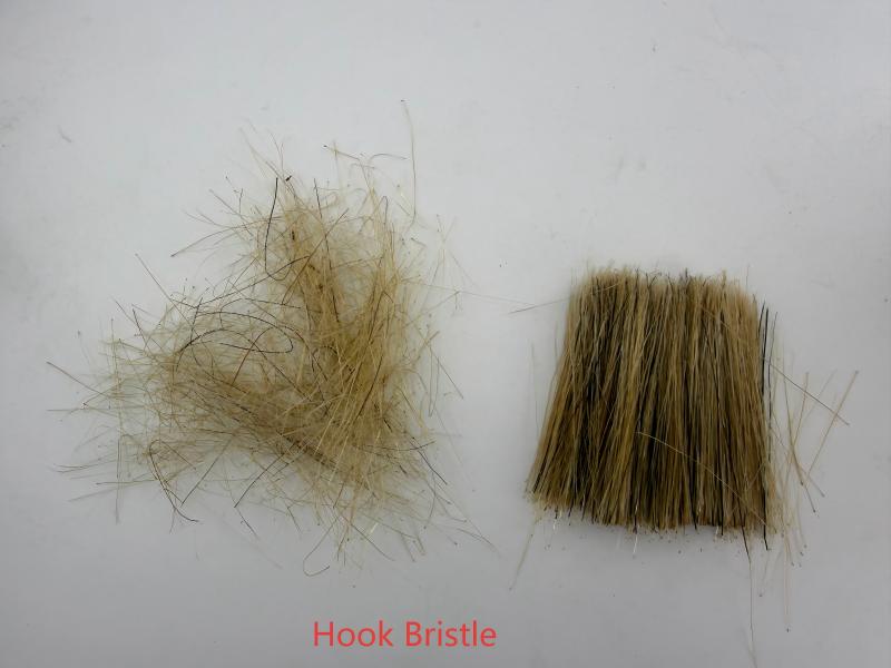 1770604238796239.jpg Hooked bristle (1).jpg
