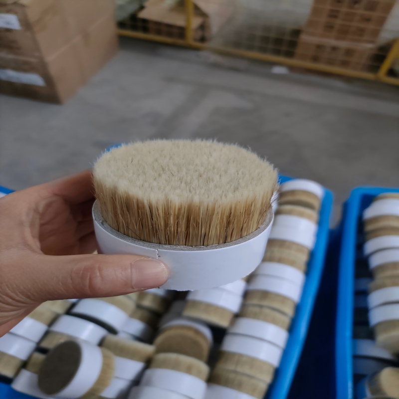 Bristle Mixture for Paint Brushes.jpg